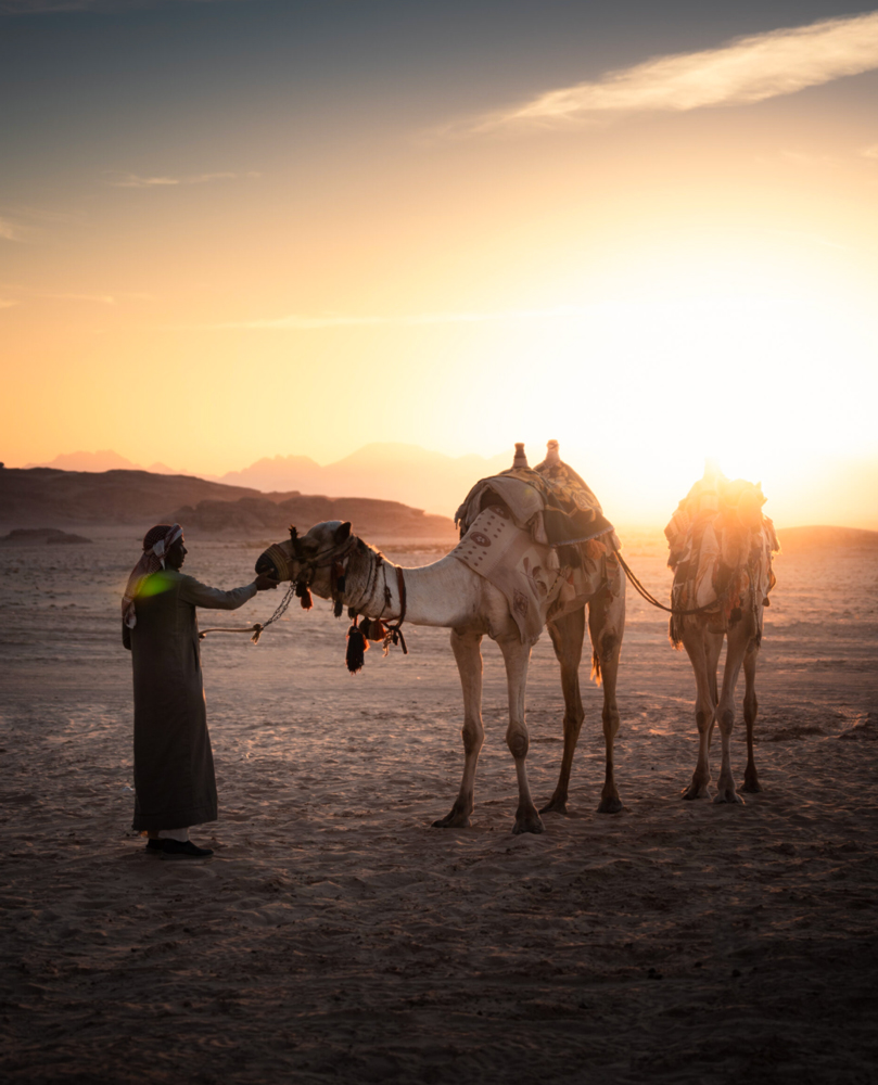 Memories Aicha Luxury Camp camel 