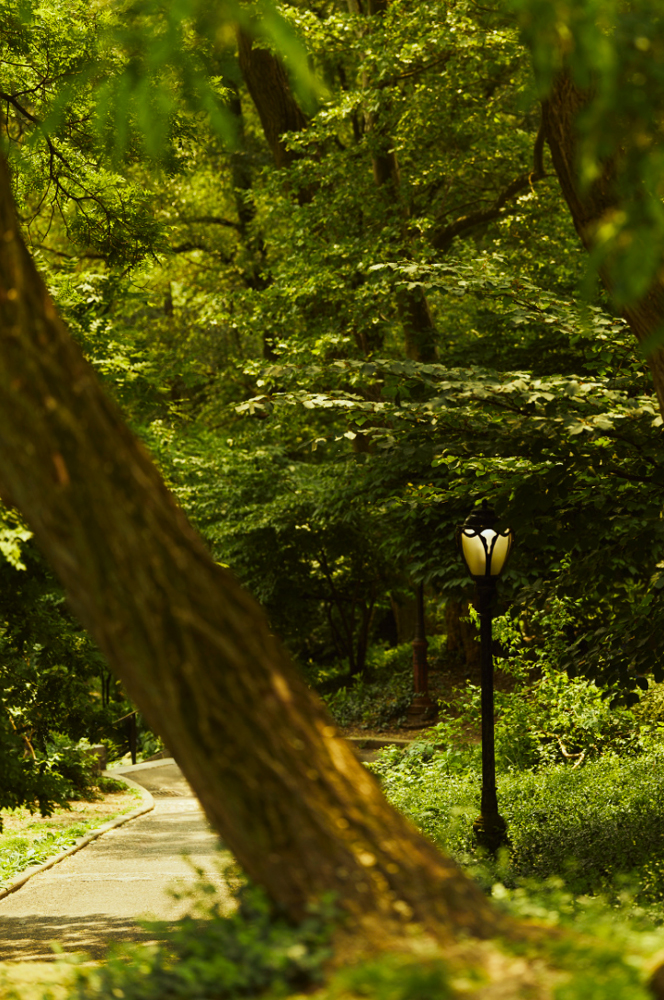 Aman New York Hotel central park 