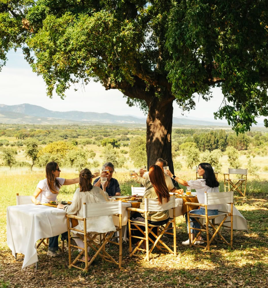 outdoor picnic at table 