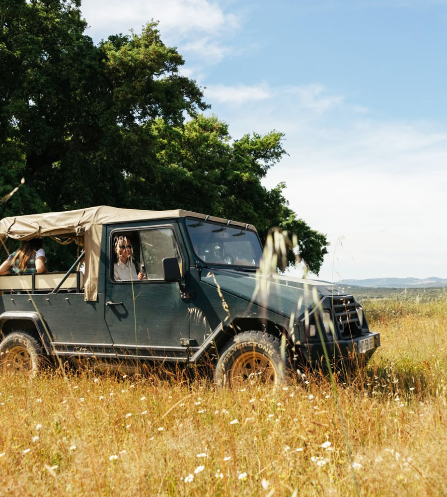 Herdade dos Abegões safari 